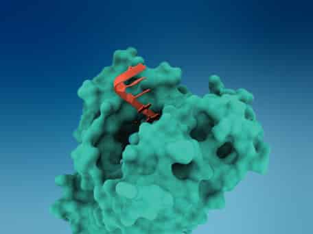Ansa Biotechnologies