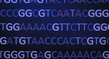 Oligos make life better—here’s 10 ways how