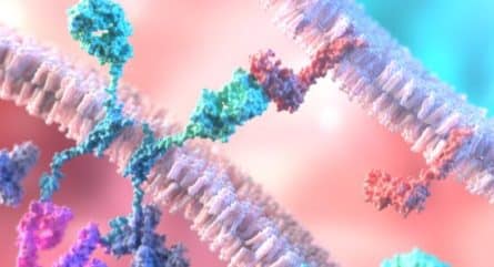 The future of CAR T: where we’re going and how CRISPR can help us get there