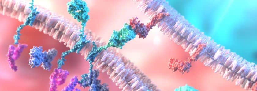 The future of CAR T: where we’re going and how CRISPR can help us get there