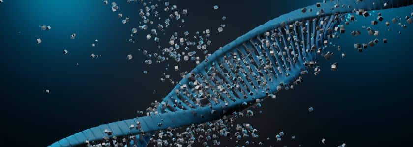 Transcription and translation: 5 differences to know about