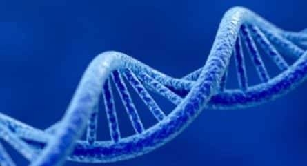 Unveiling the potential of cell-free DNA