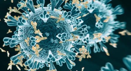 Does the future of personalized healthcare rest with AI and ML?