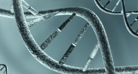 DNA extraction: Here's what you need to know