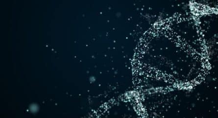 What is gene expression? A DNA instruction manual