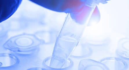 You can thank CRISPR for that