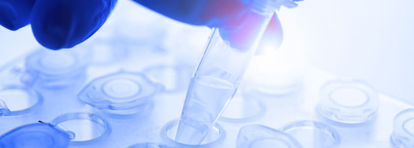 You can thank CRISPR for that