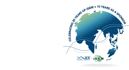 2023 iGEM team project insights