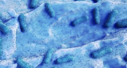 Expression vectors: The what, why, and how