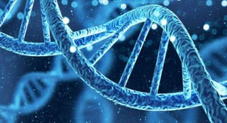 Leveraging digital droplet PCR (ddPCR) for accurate quantification of amplifiable DNA