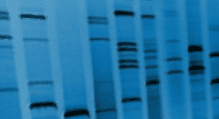 What is Sanger sequencing and is it still relevant today?