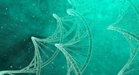 DNA synthesis: The basics