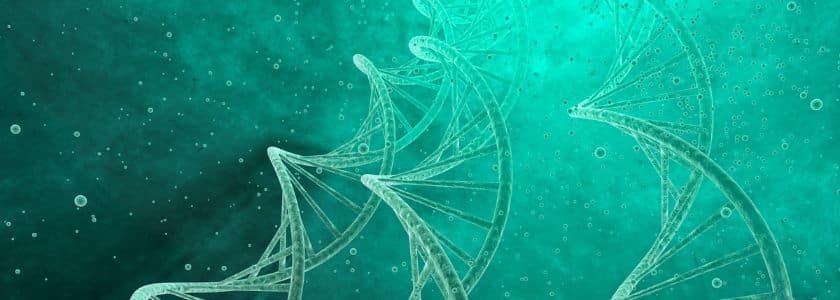 DNA synthesis: The basics