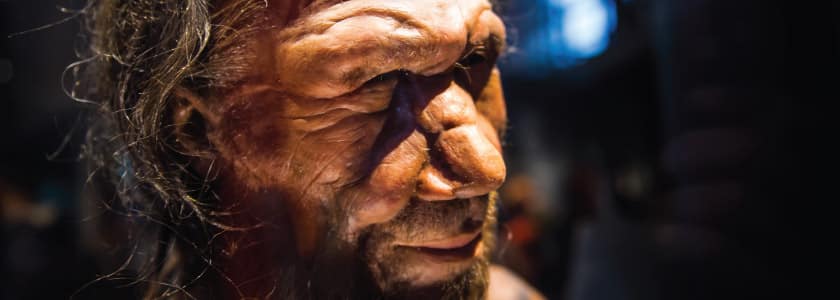 DNA reveals mysteries of ancient humans