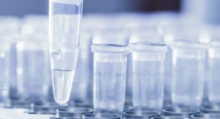 Latest PCR, qPCR, and genomics news headlines