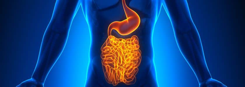Identifying cancer indicators in gut health