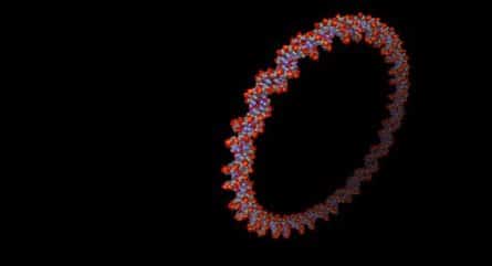 What is a plasmid and what do plasmids do?