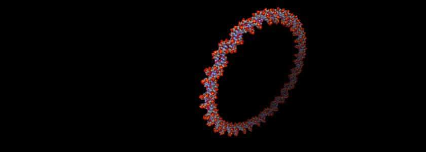 What is a plasmid and what do plasmids do?