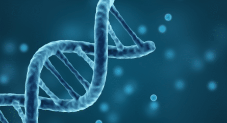 (Almost) everything you need to know about gene fragments