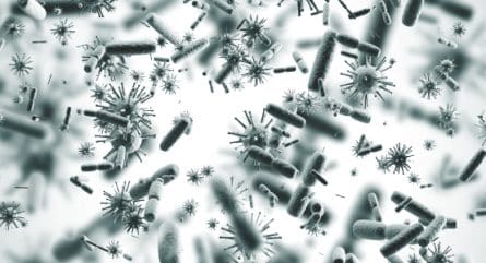 Emerging technologies in the battle against infectious diseases