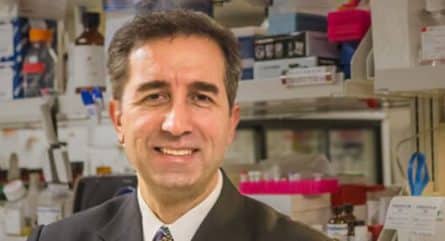 From reading the code of life to re-writing it: My journey through genomic era