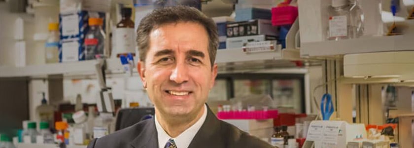 From reading the code of life to re-writing it: My journey through genomic era