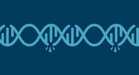 Deciphering the mysteries of missense mutations