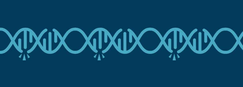 Deciphering the mysteries of missense mutations