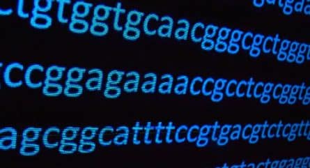 Understanding promoters in genetics: Key to gene expression regulation